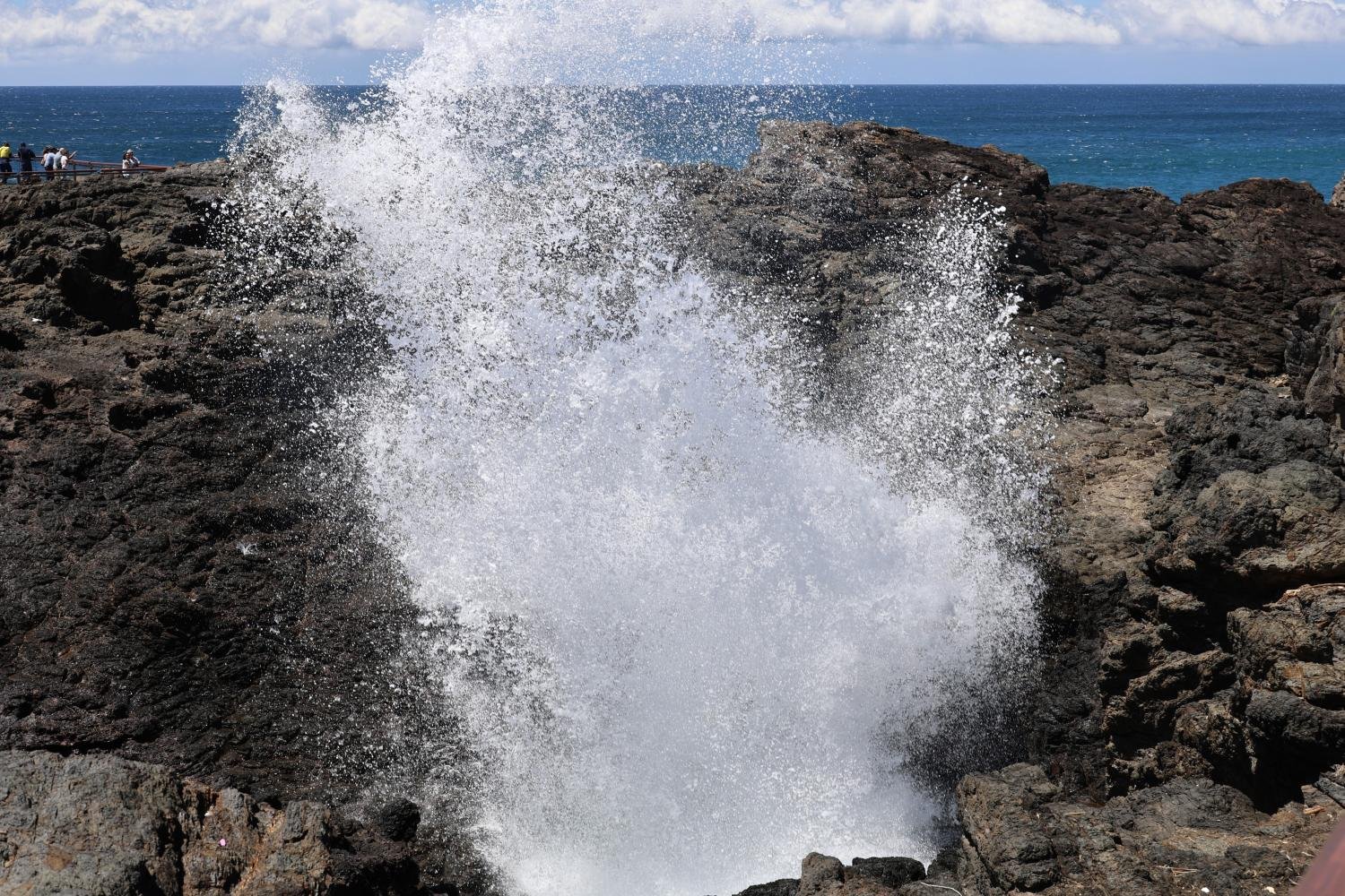 Kiama blowholes tours from Sydney