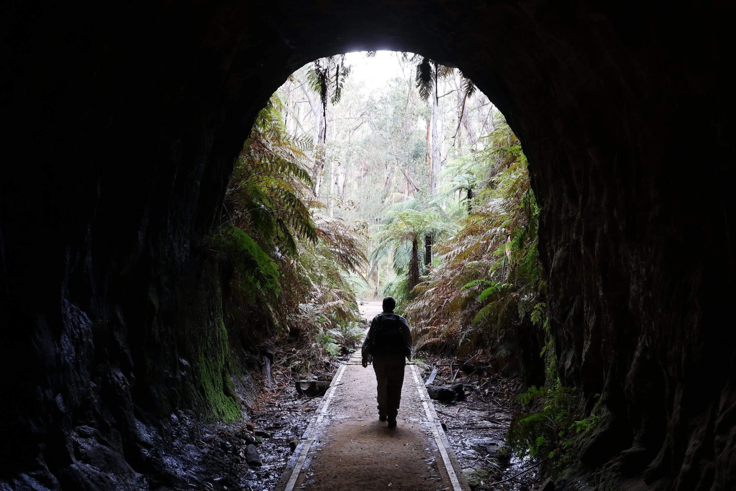 A walker silhouetted against the tunnel exit, Glow Worm Tunnel, Blue Mountains