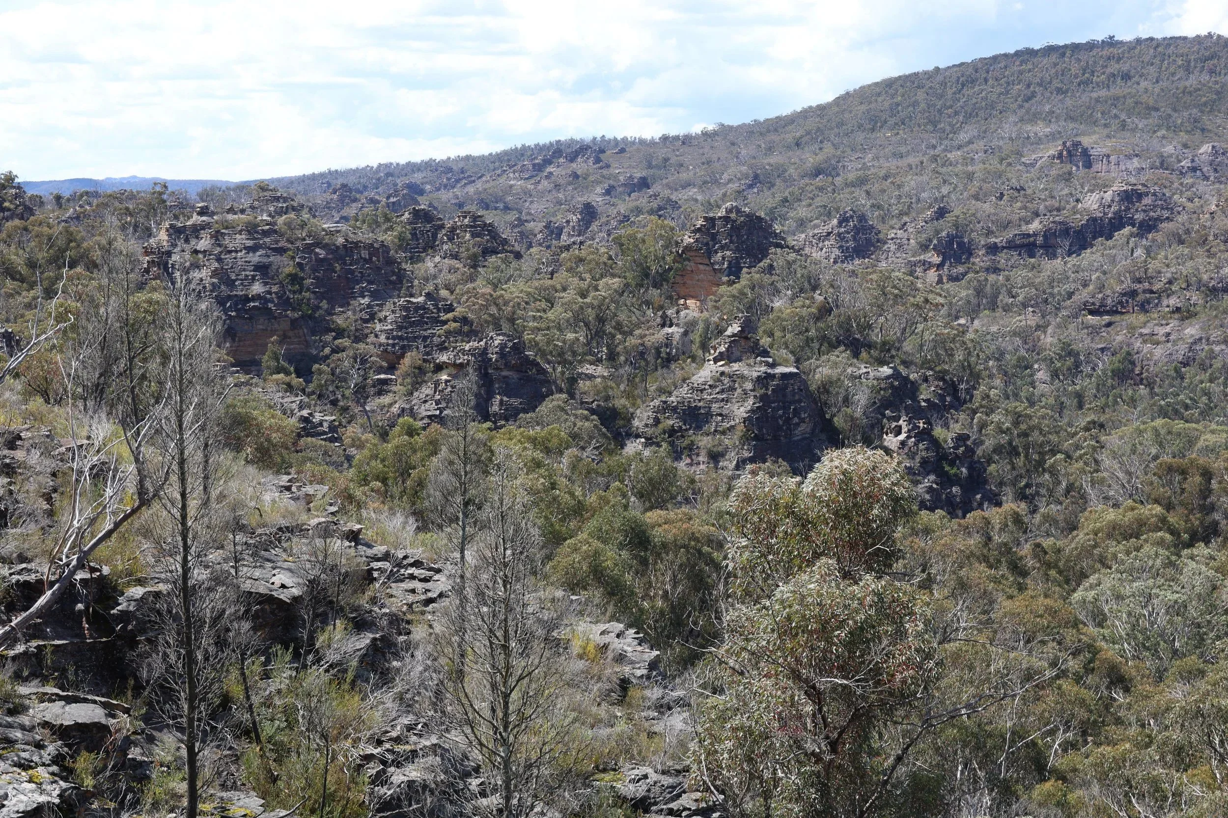 Sandstone pagoda formations near the Glow Worm Tunnel, Blue Mountains