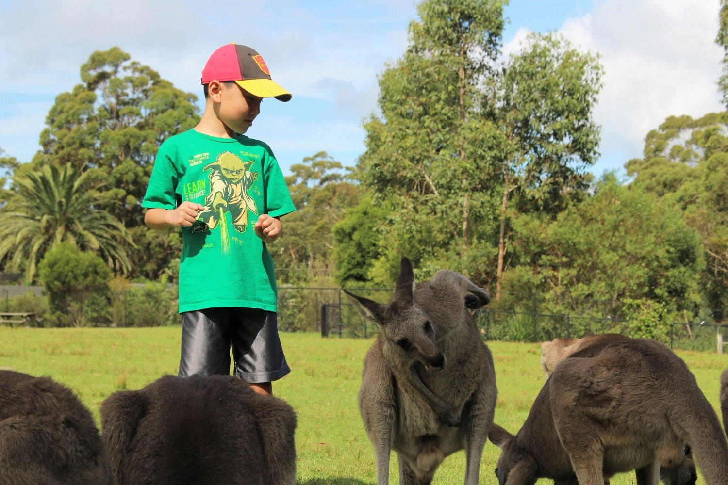 Australian wildlife experiences