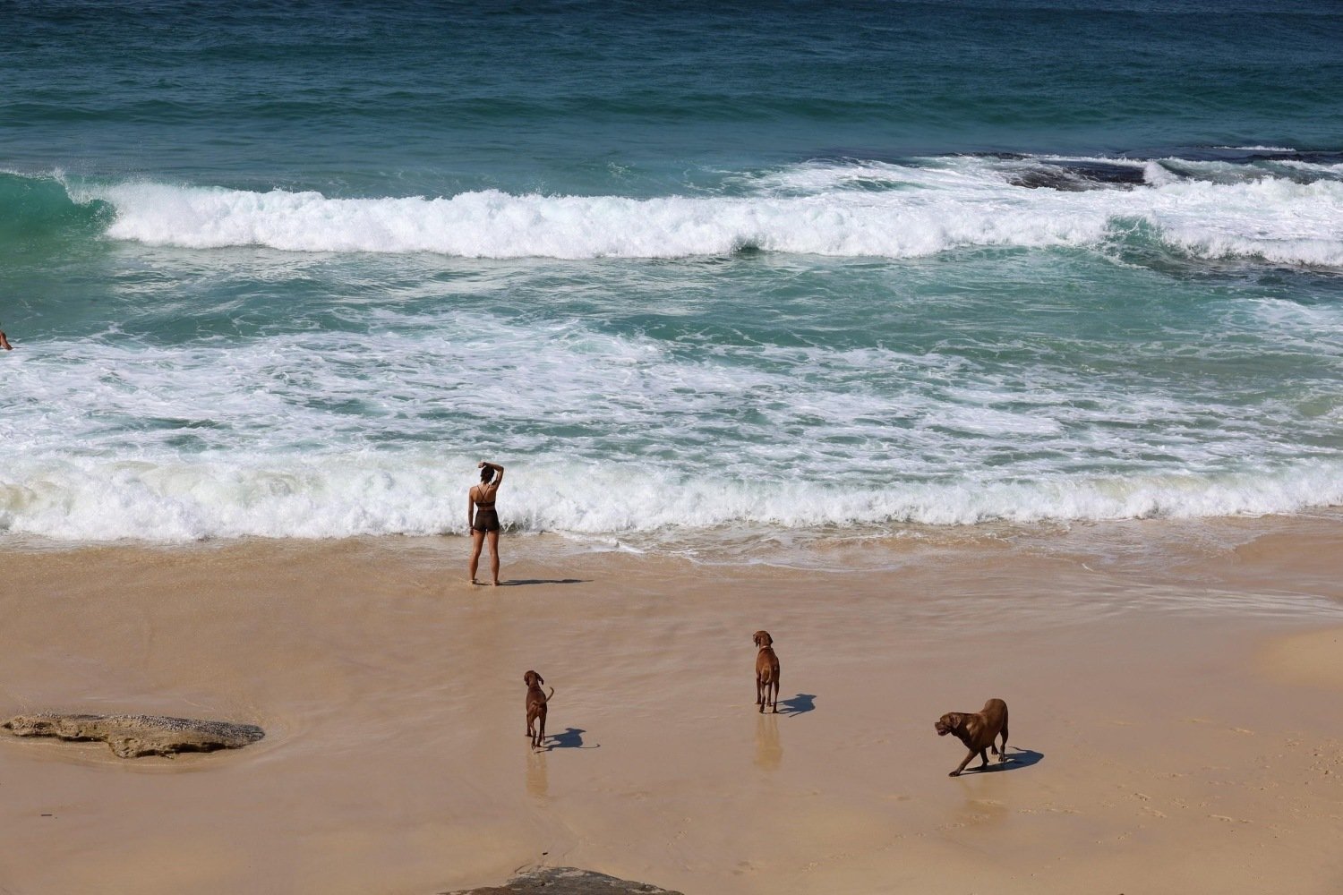 Mackenzie's Beach Sydney