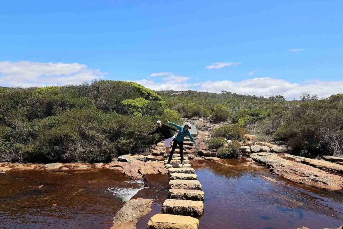 Two guests balancing on stepping stones crossing Curracurrong Creek on the Eagle Rock walk, Royal National Park
