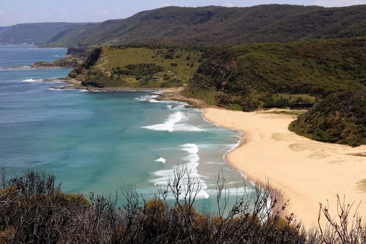 Garie Beach viewed from the southern headland showing golden sand, turquoise water and green hills, Royal National Park