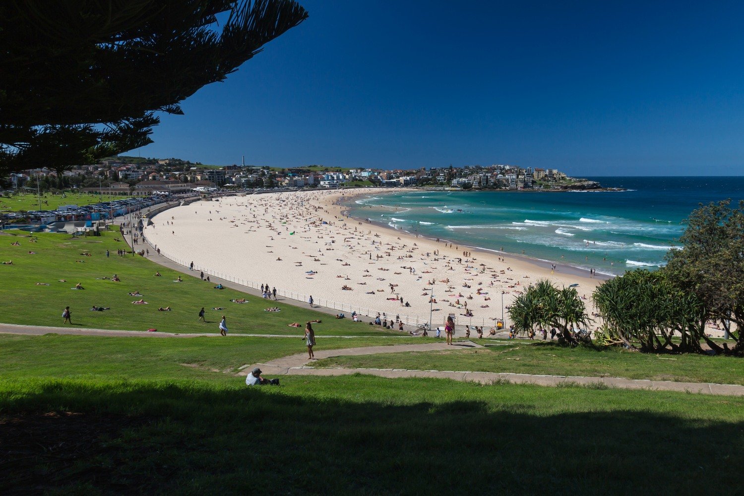 Bondi Beach