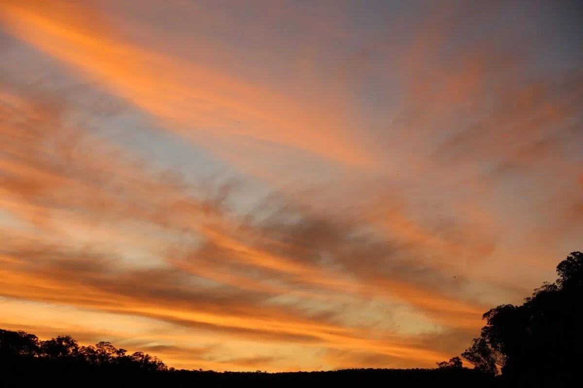 Dramatic orange and pink sunset sky over silhouetted trees in the Capertee Valley, NSW