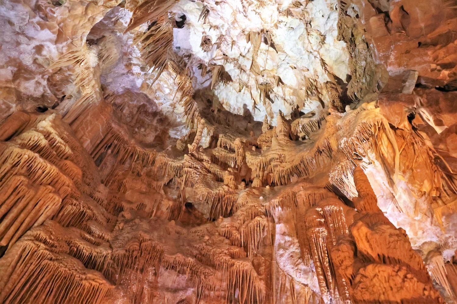 Jenolan Caves tours from Sydney
