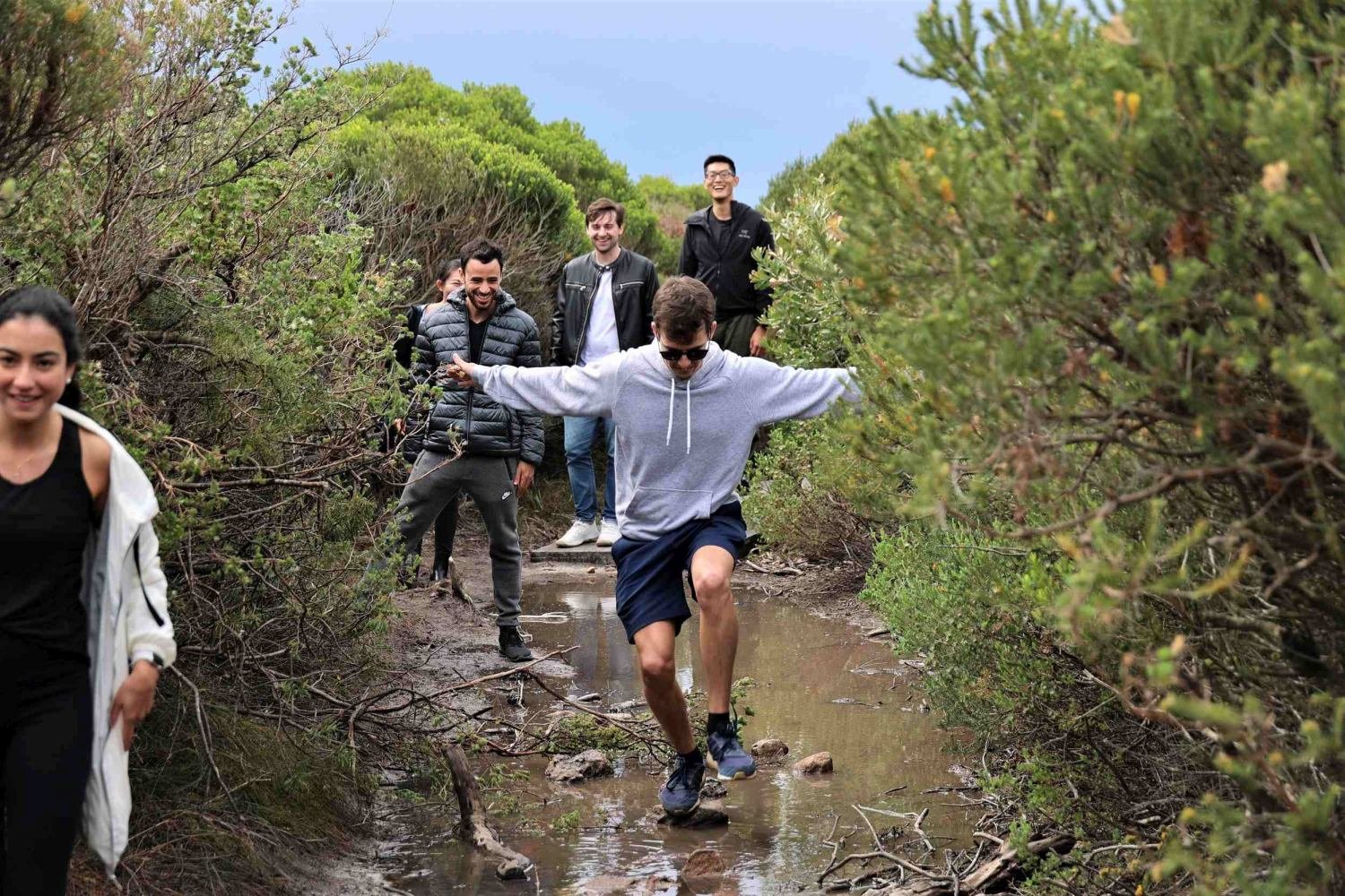 Royal National Park bushwalk