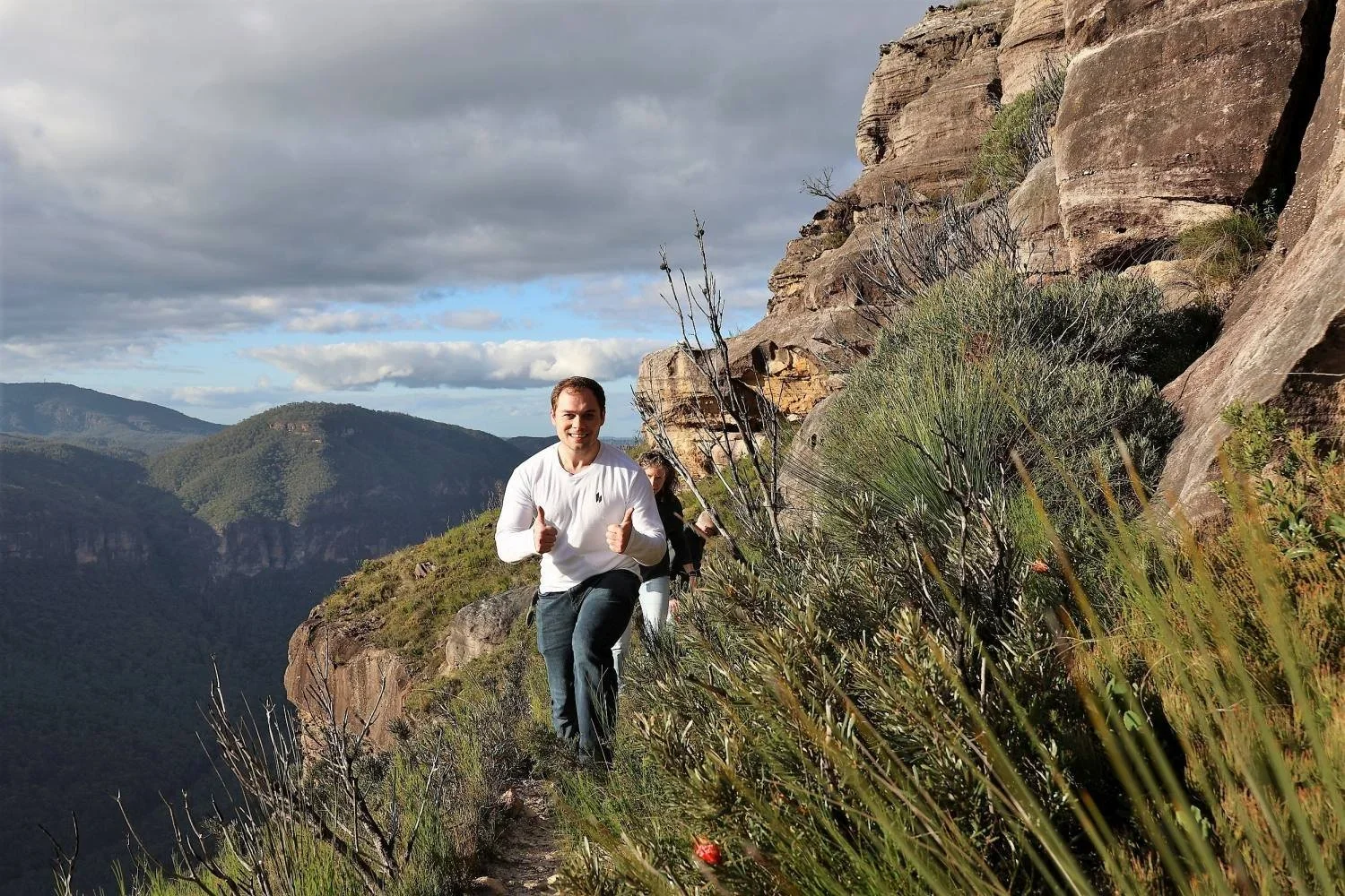 Blue Mountains walking track.webp
