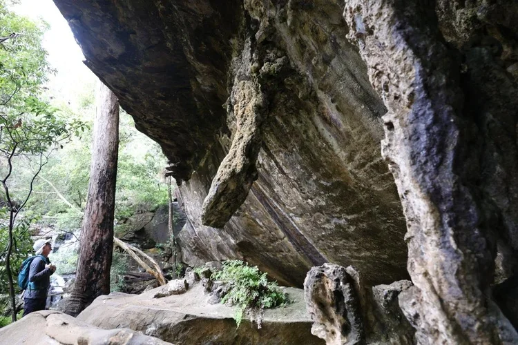 A limestone stalactite hanging from a sandstone rock overhang at Palona Cave, Royal National Park