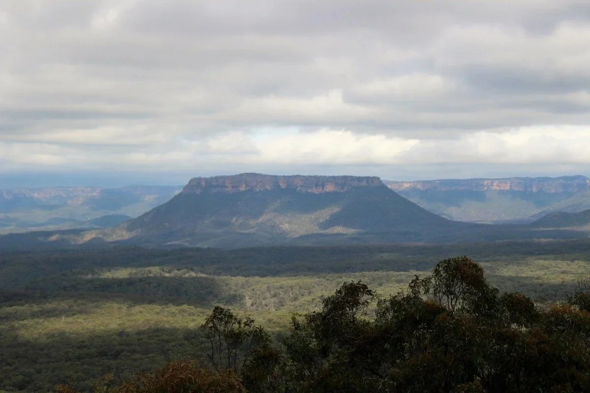 Pantoney's Crown mesa rising above the surrounding bush in the Capertee Valley, NSW
