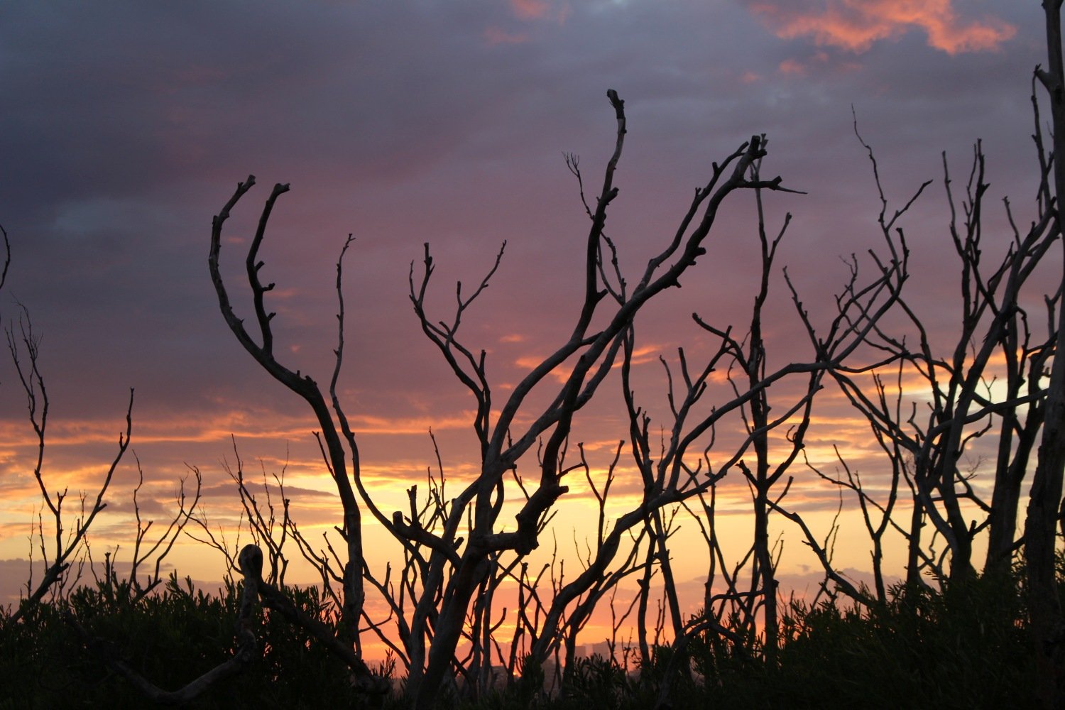 Sydney sunset photography