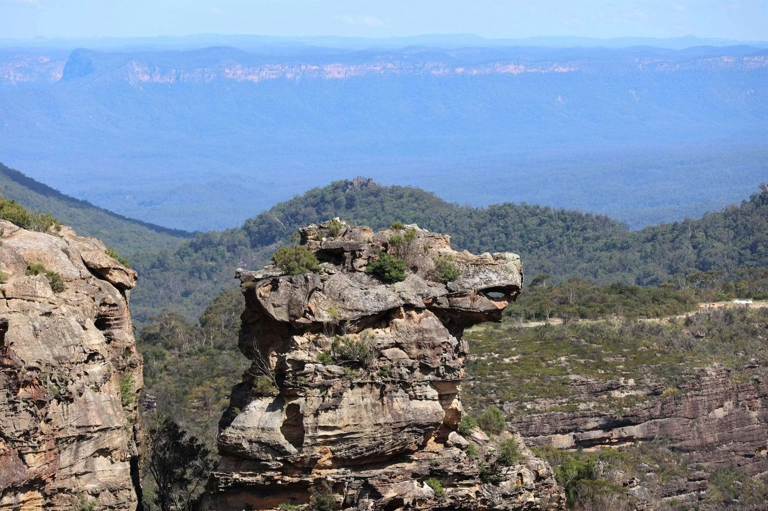 easy-access-blue-mountains-lookouts-boars-head-lookout