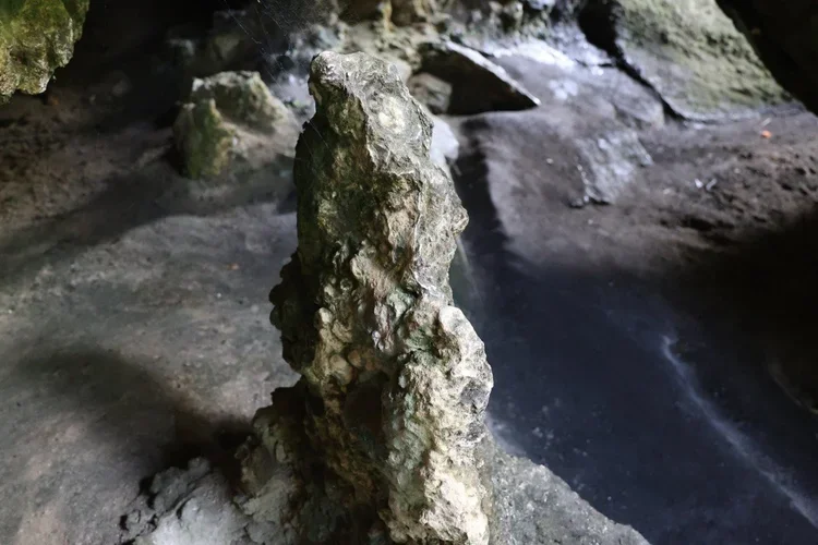 Close-up of a limestone stalagmite formation inside Palona Cave, a sandstone cave in the Royal National Park