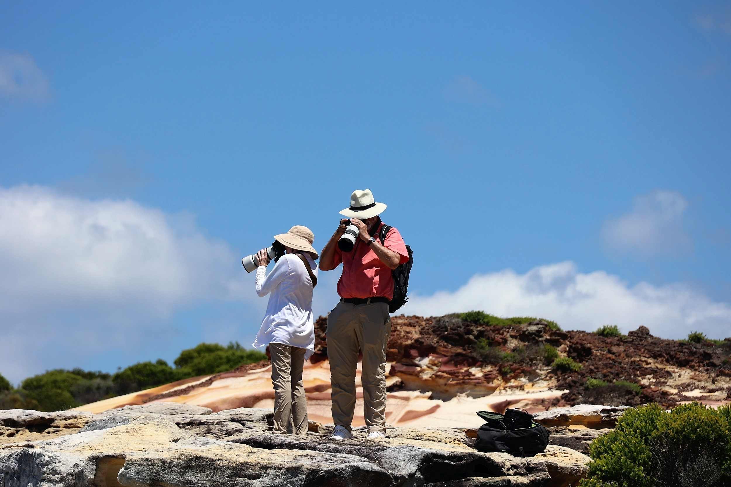 Photography The Royal National Park.jpg