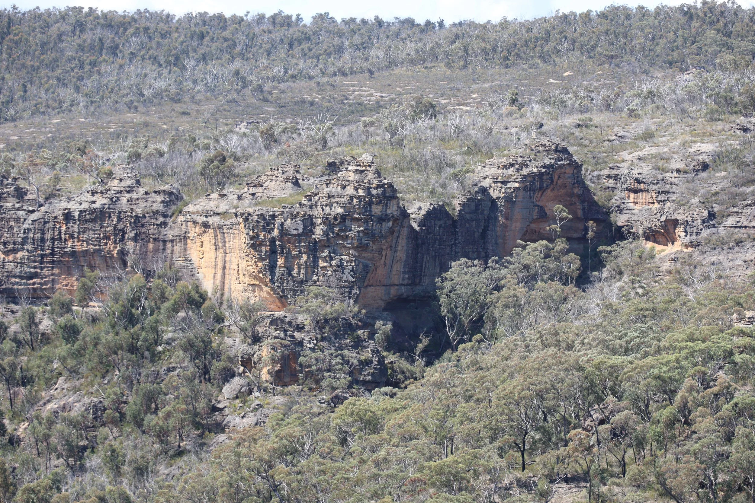 Layered sandstone cliff formations in the bush near Lithgow, Blue Mountains