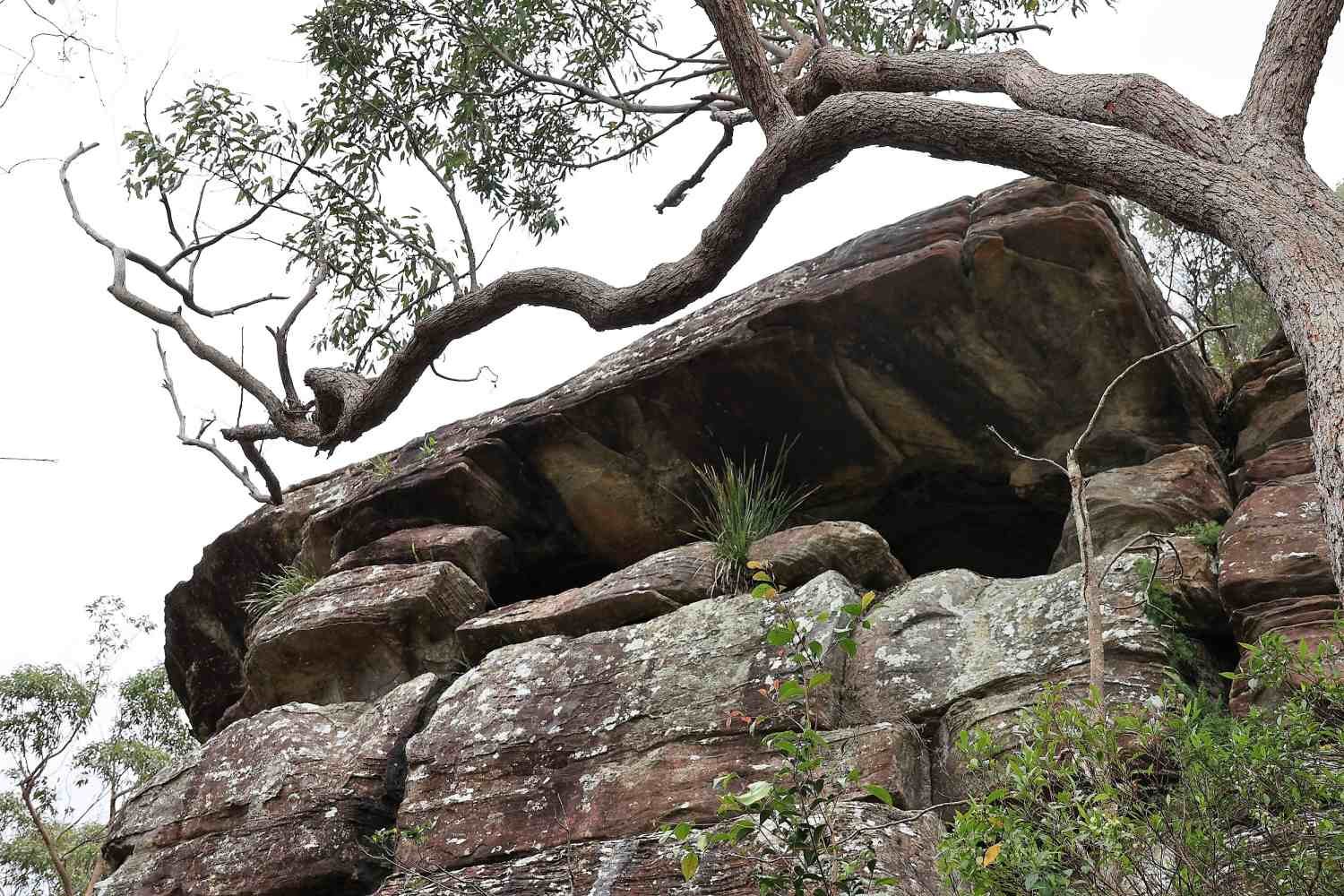 Walk to Barrenjoey