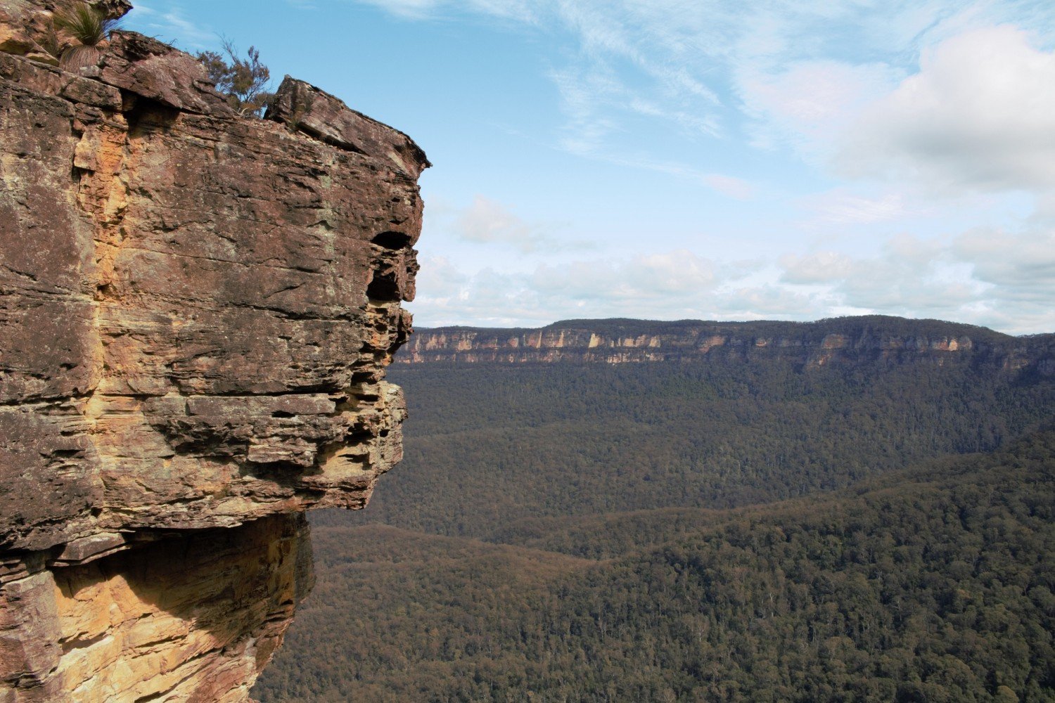 Blue Mountains tours.jpg