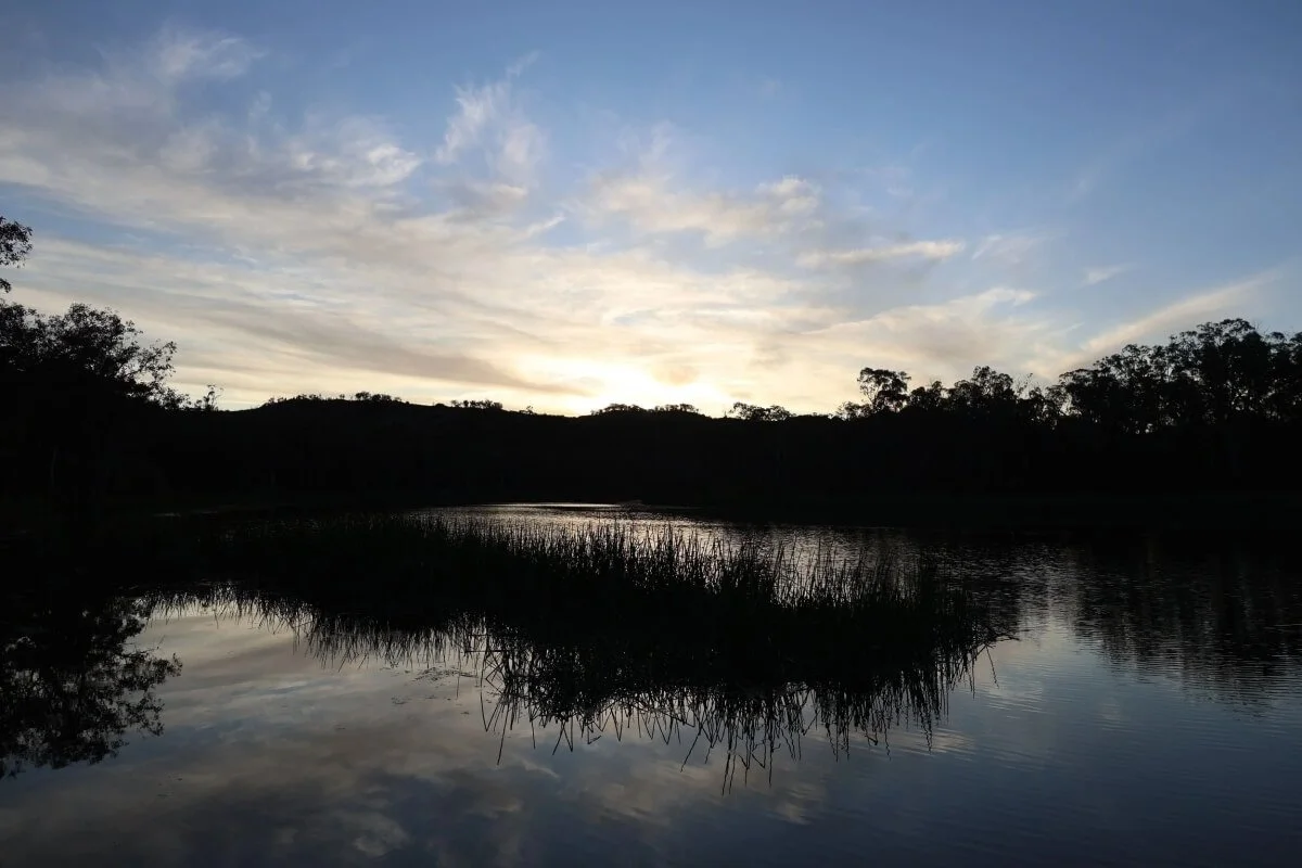 Sunset reflection over Ganguddy, Dunns Swamp, with silhouetted reeds and trees, Capertee Valley NSW