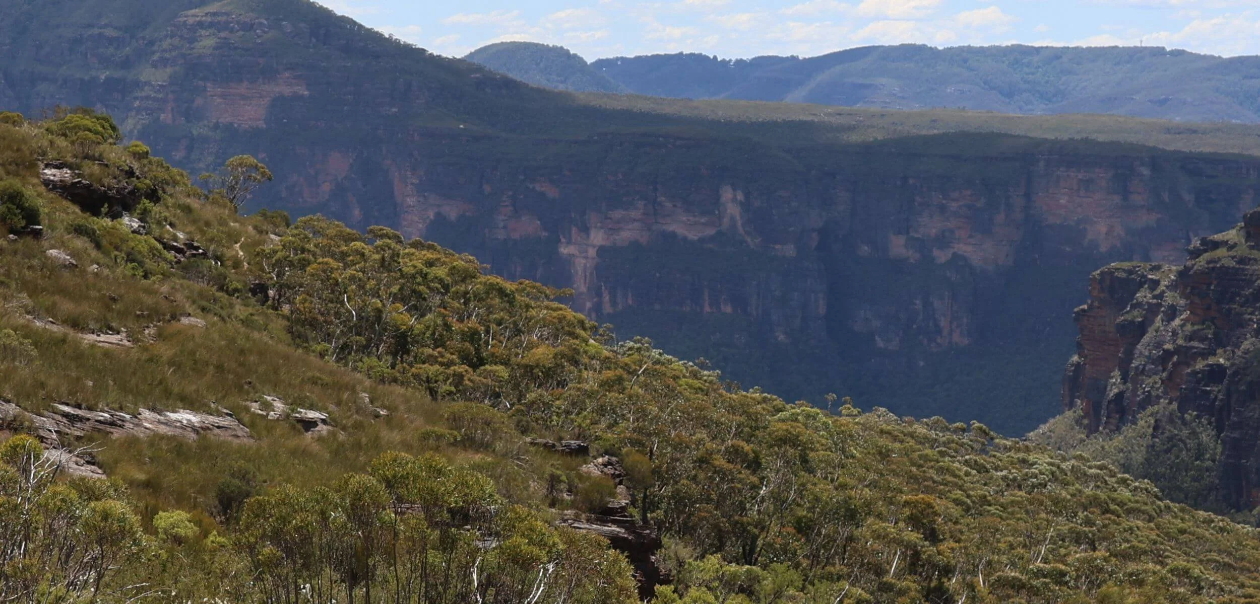 Fortress Ridge lookout in the Blue Mountains National Park, featuring rugged sandstone cliffs, eucalyptus forest and expansive valley views