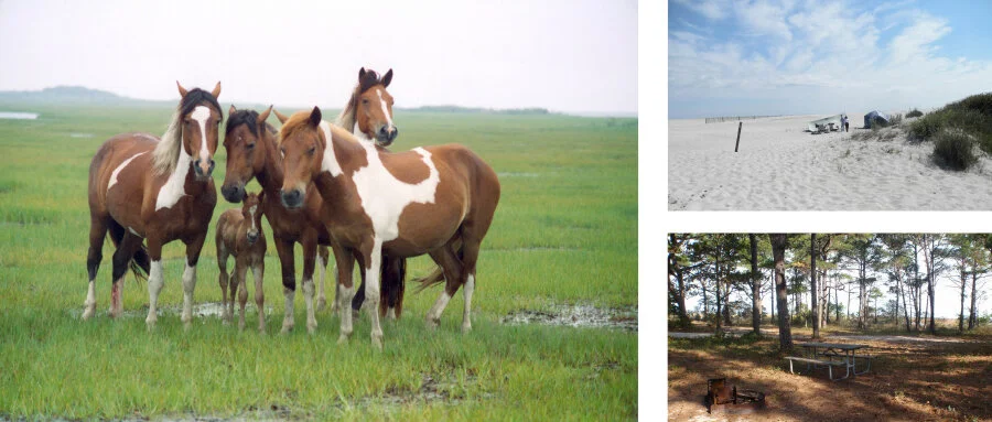 assateguea.jpg