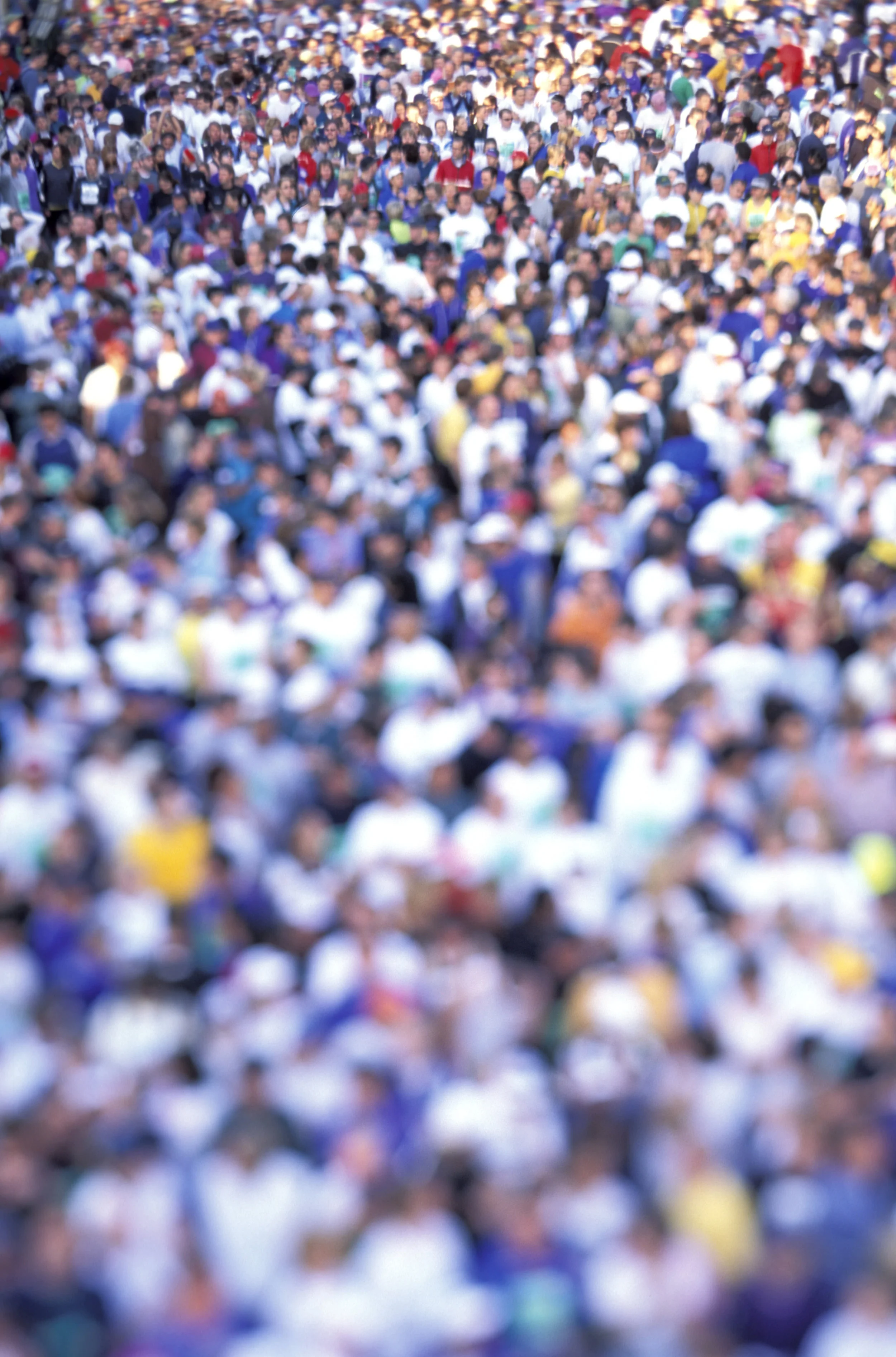 Screen Shot 2018-08-04 at 8.59.23 AM.png