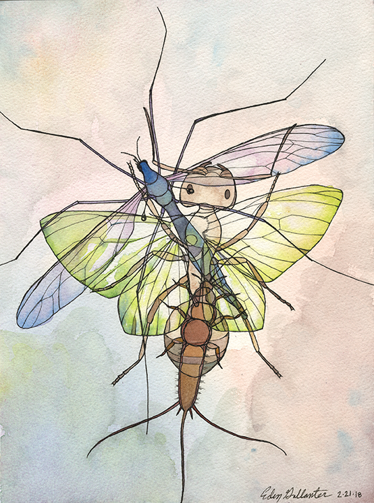 Insects