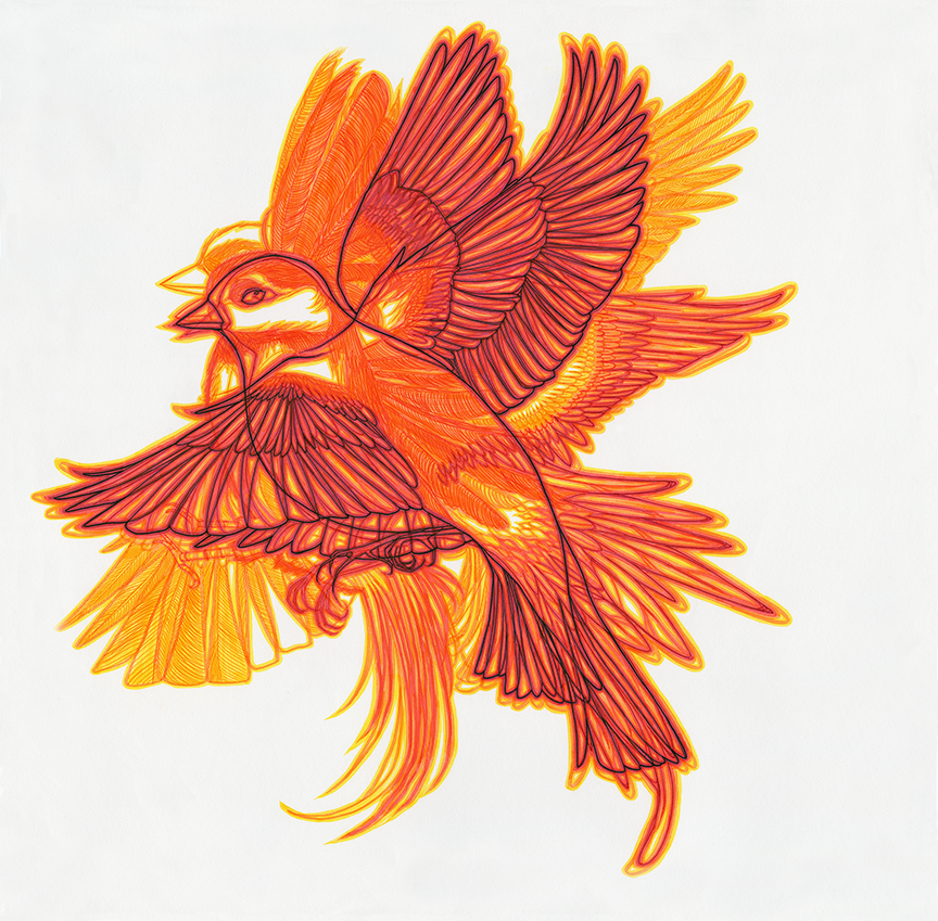 The Sparrow and the sparrows