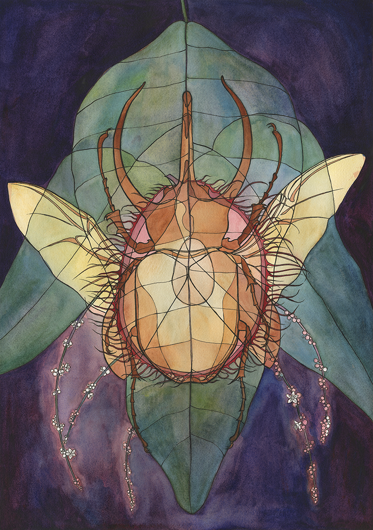 Beetle x Rambutan