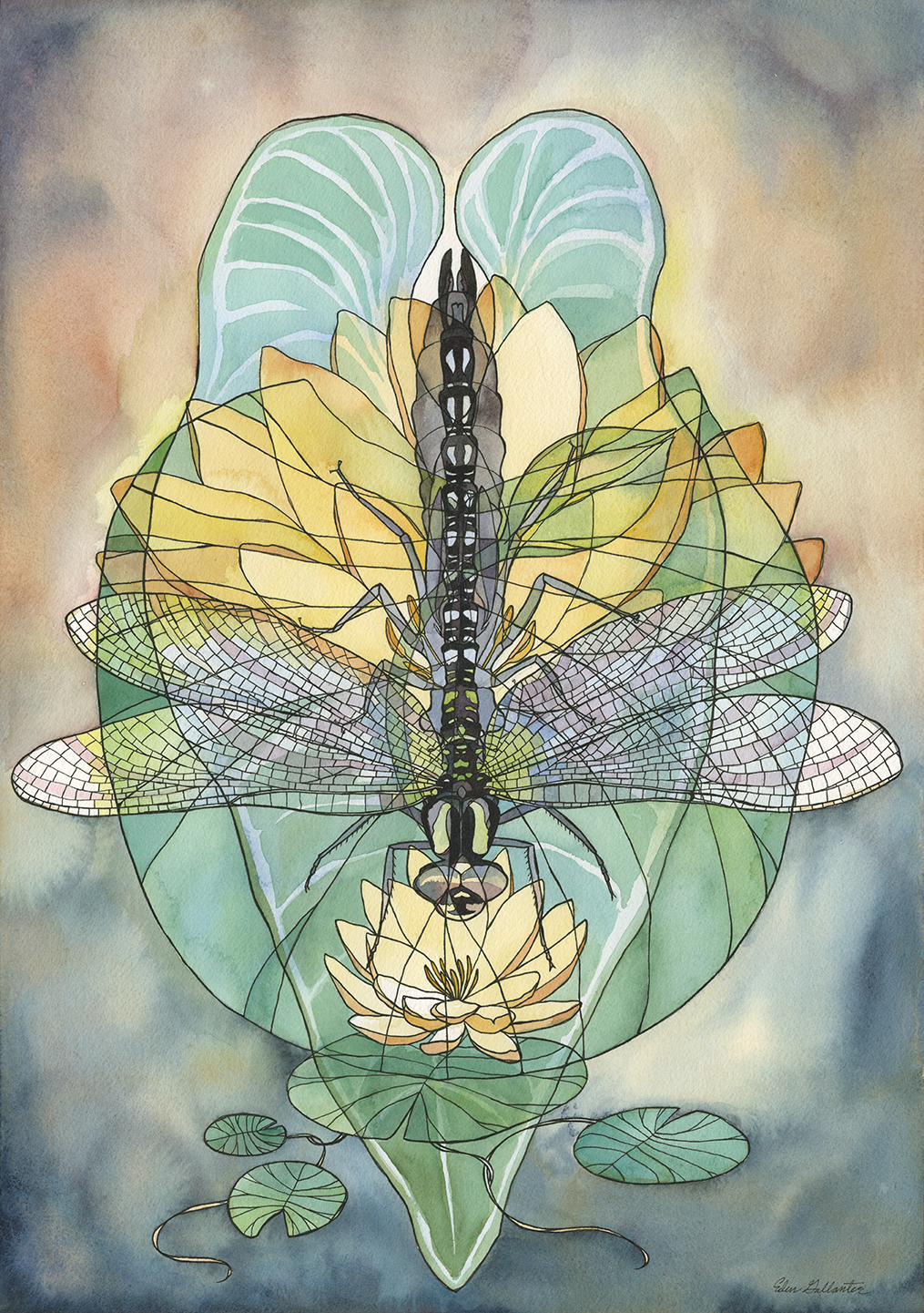 Dragonfly x Water Lily x Anthurium