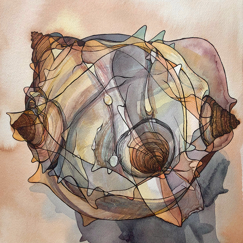 Shell