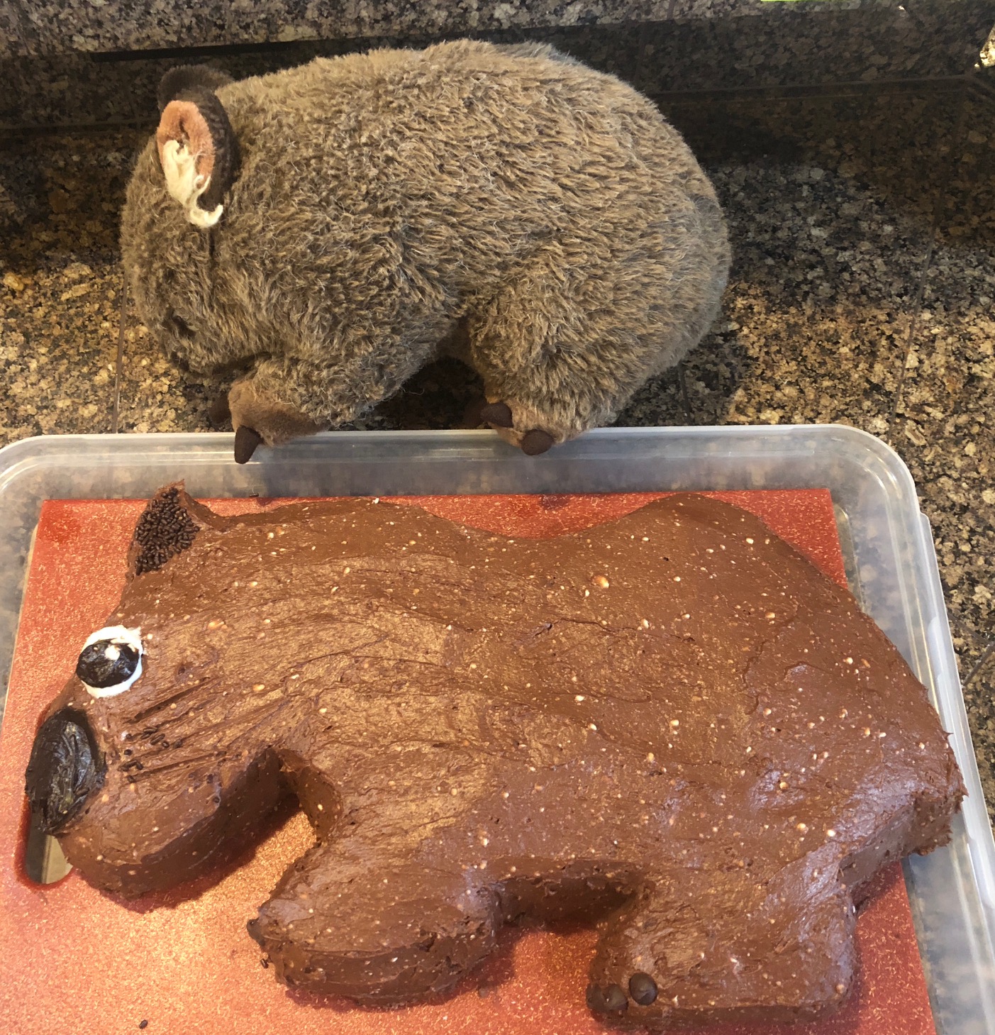 Wombat awards — My Wombats