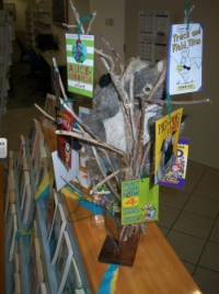 Ballina+Public+Library+Display+2016.png