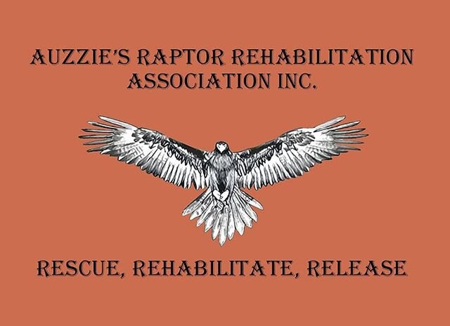 In case you weren't aware. Late last year, myself and 6 other raptor dedicated people came together with a common cause in mind. The rescue, rehabilitate and release of injured or misplaced raptors not only here in WA but eventually all over Australi