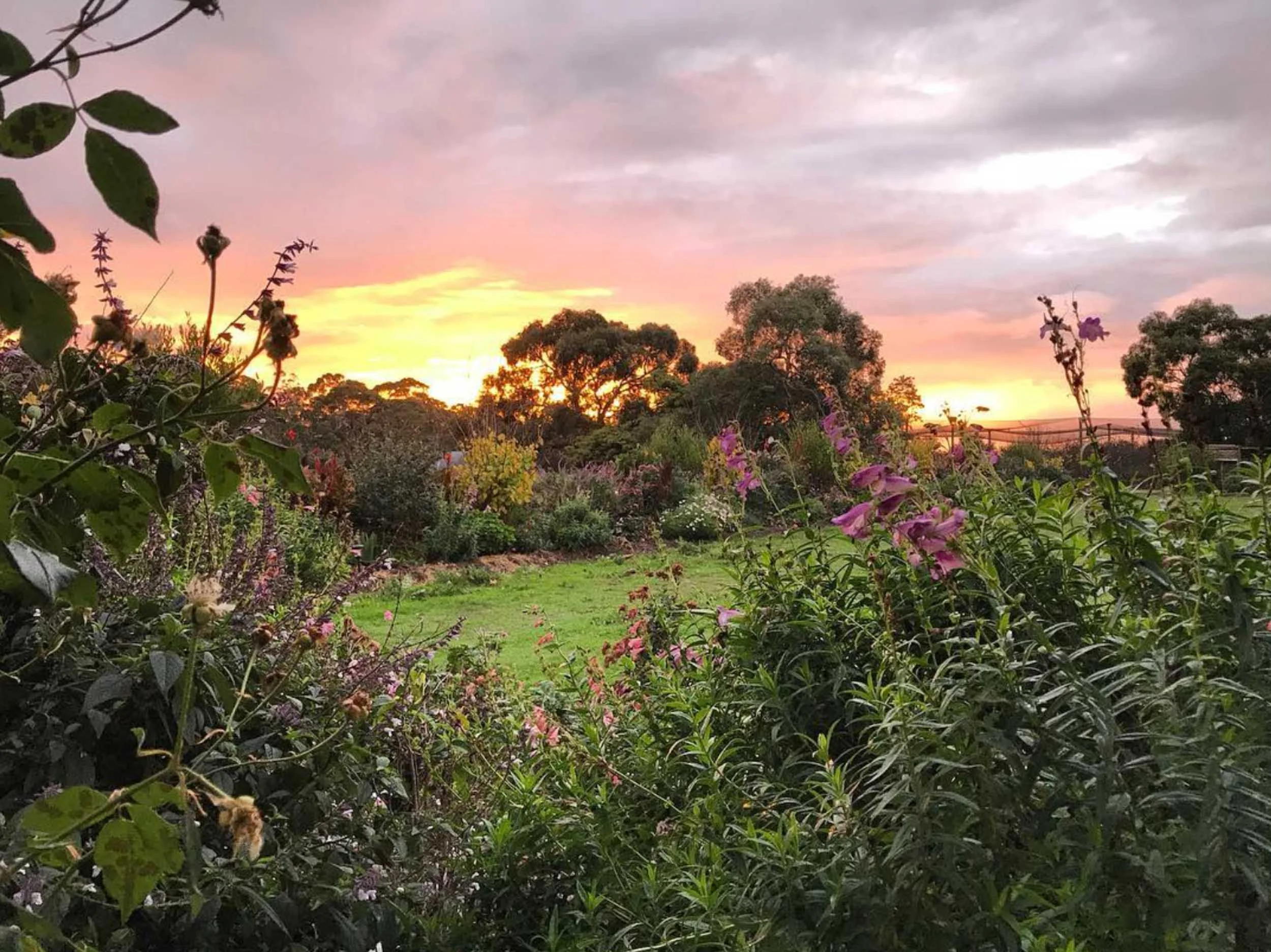 Freshwater Creek Cottages - Farmstay - best family holidays Victroria - Australia _-23.jpg
