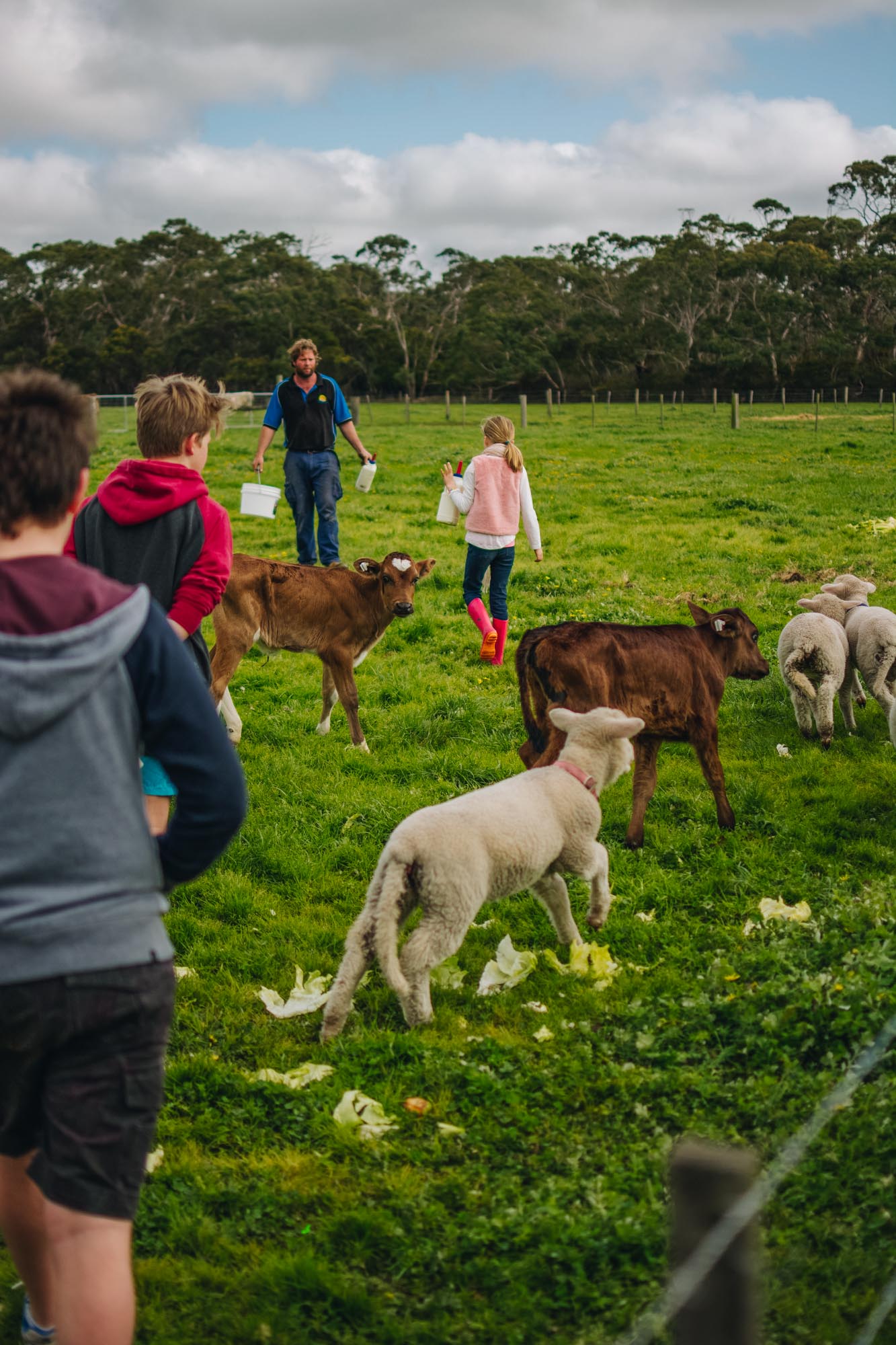 Freshwater Creek Cottages - Kids Farm Tours - Kids Parties - Surf Coast - Torquay - Geelong-106.jpg