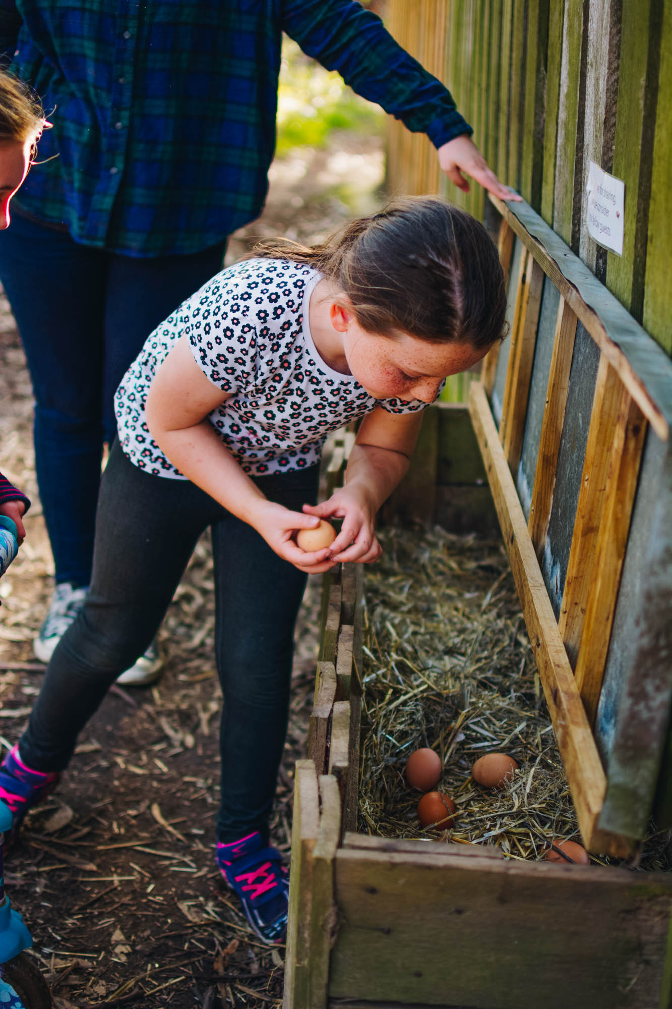 Freshwater Creek Cottages - Kids Farm Tours - Kids Parties - Surf Coast - Torquay - Geelong-84.jpg