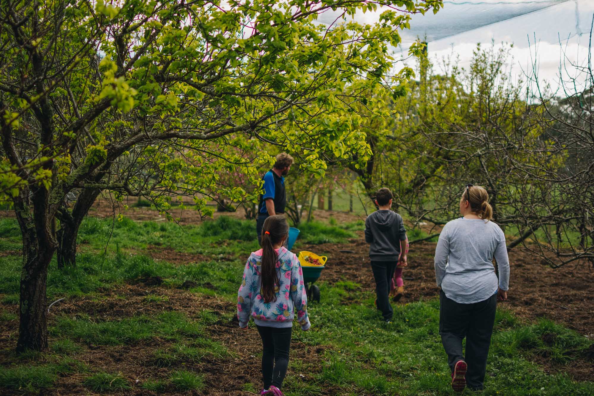 Freshwater Creek Cottages - Kids Farm Tours - Kids Parties - Surf Coast - Torquay - Geelong-124.jpg