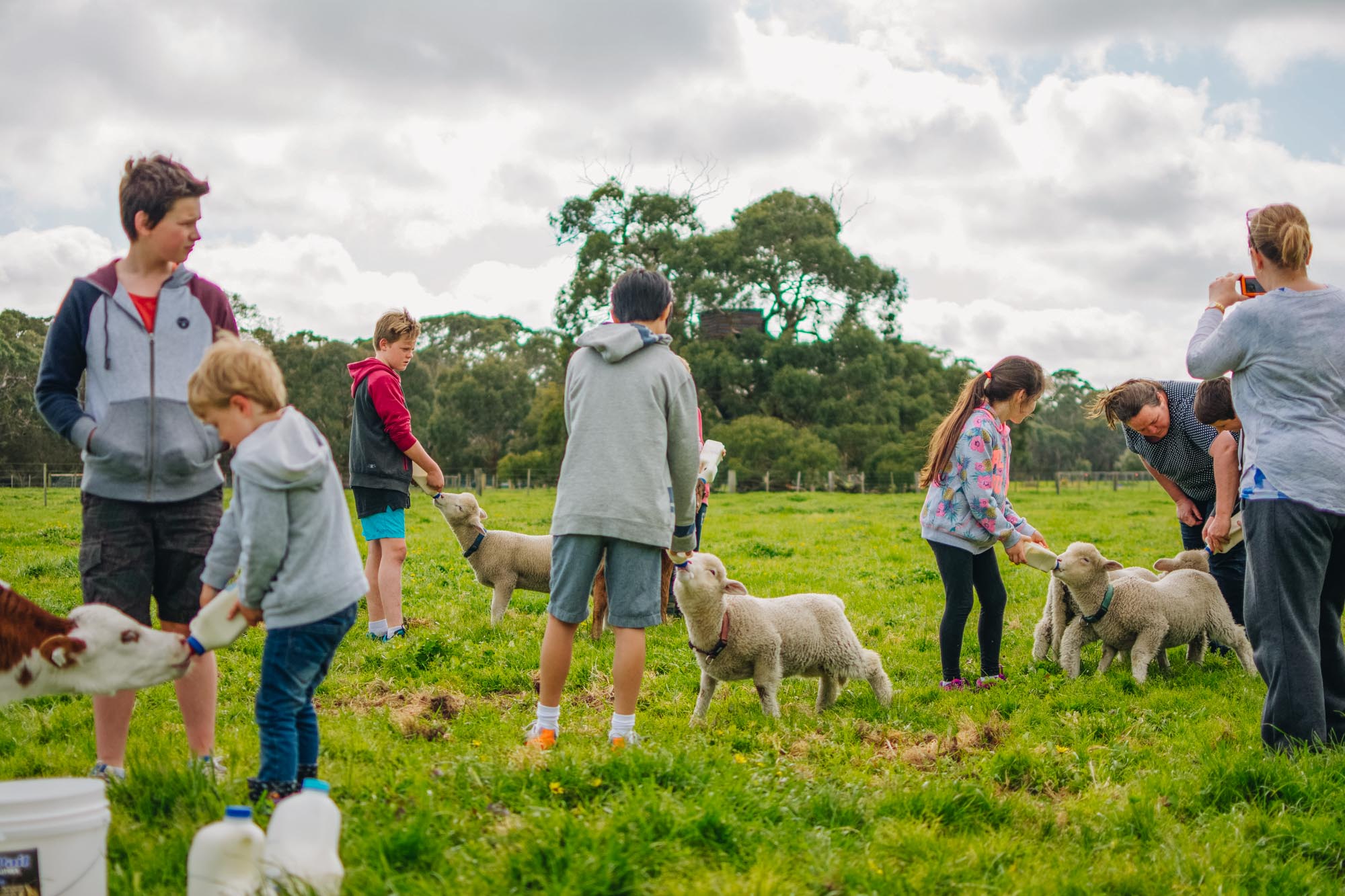 Freshwater Creek Cottages - Kids Farm Tours - Kids Parties - Surf Coast - Torquay - Geelong-108.jpg