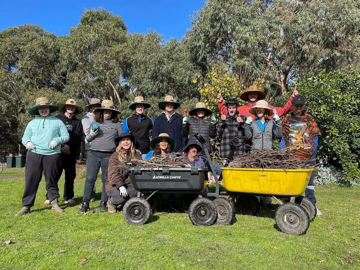 Massive shout out to the wonderful team from @all_aboarddss who collected a heap of kindling for us yesterday! They are a fabulous help around the farm, ever-willing to assist no matter how big or small the job may be. Their friendly faces, laughter 