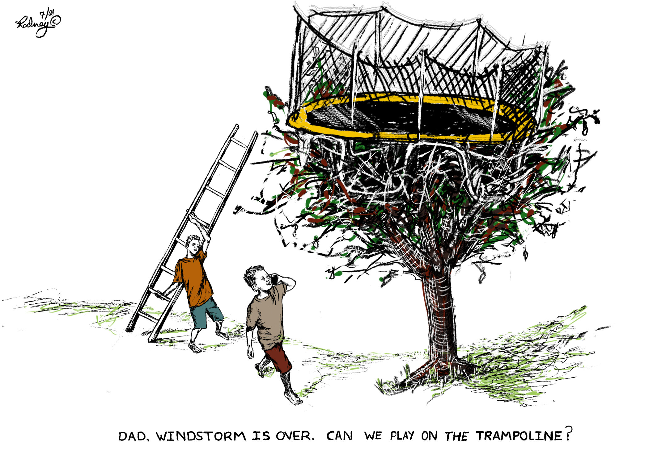 trampoline-color.jpg