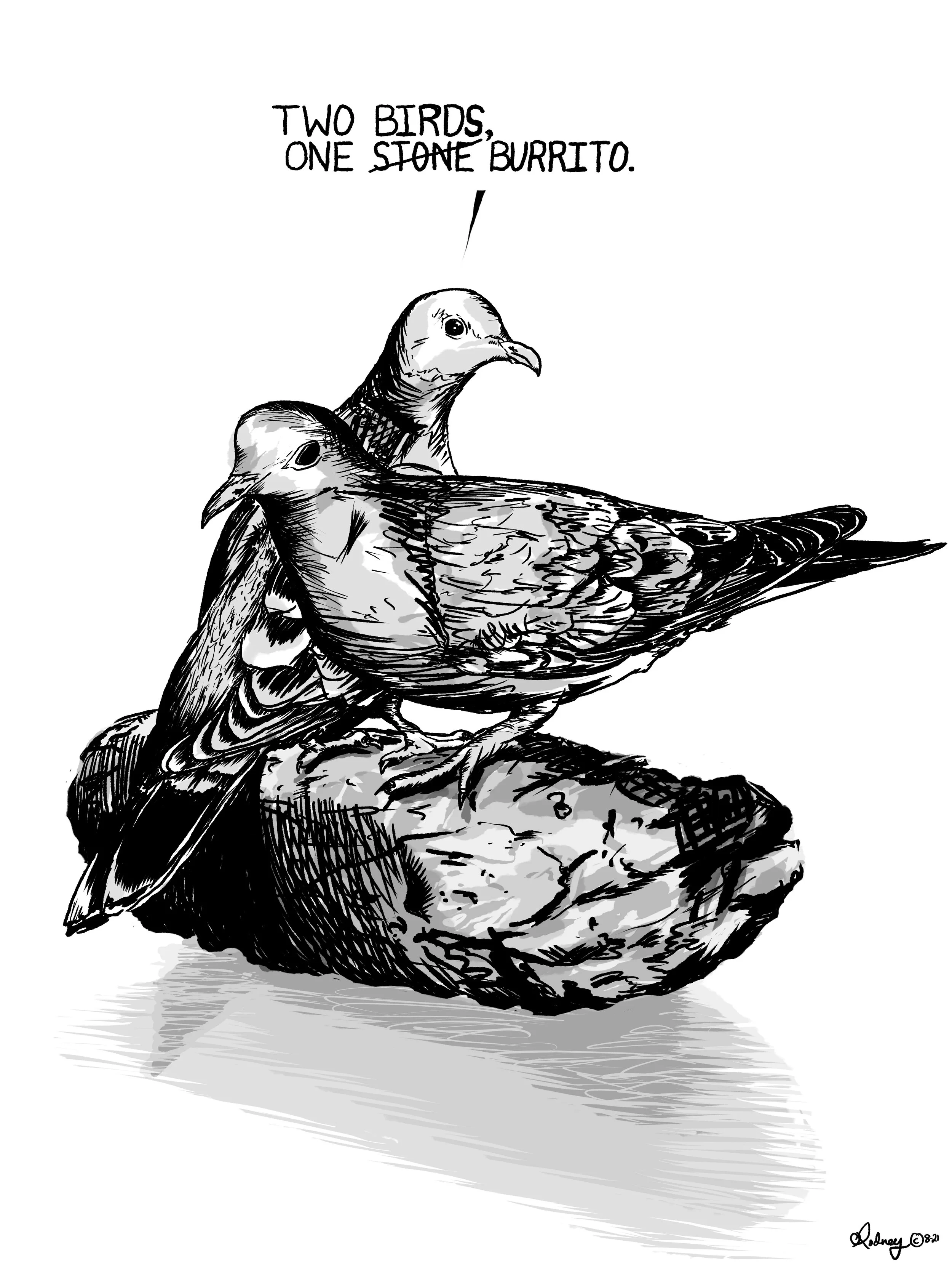 Two Bird ONE stONE.jpg