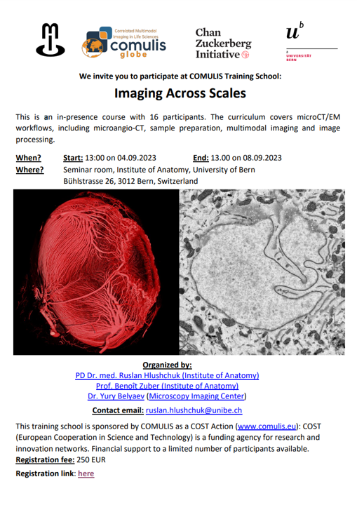 Training School - Imaging Across Scales