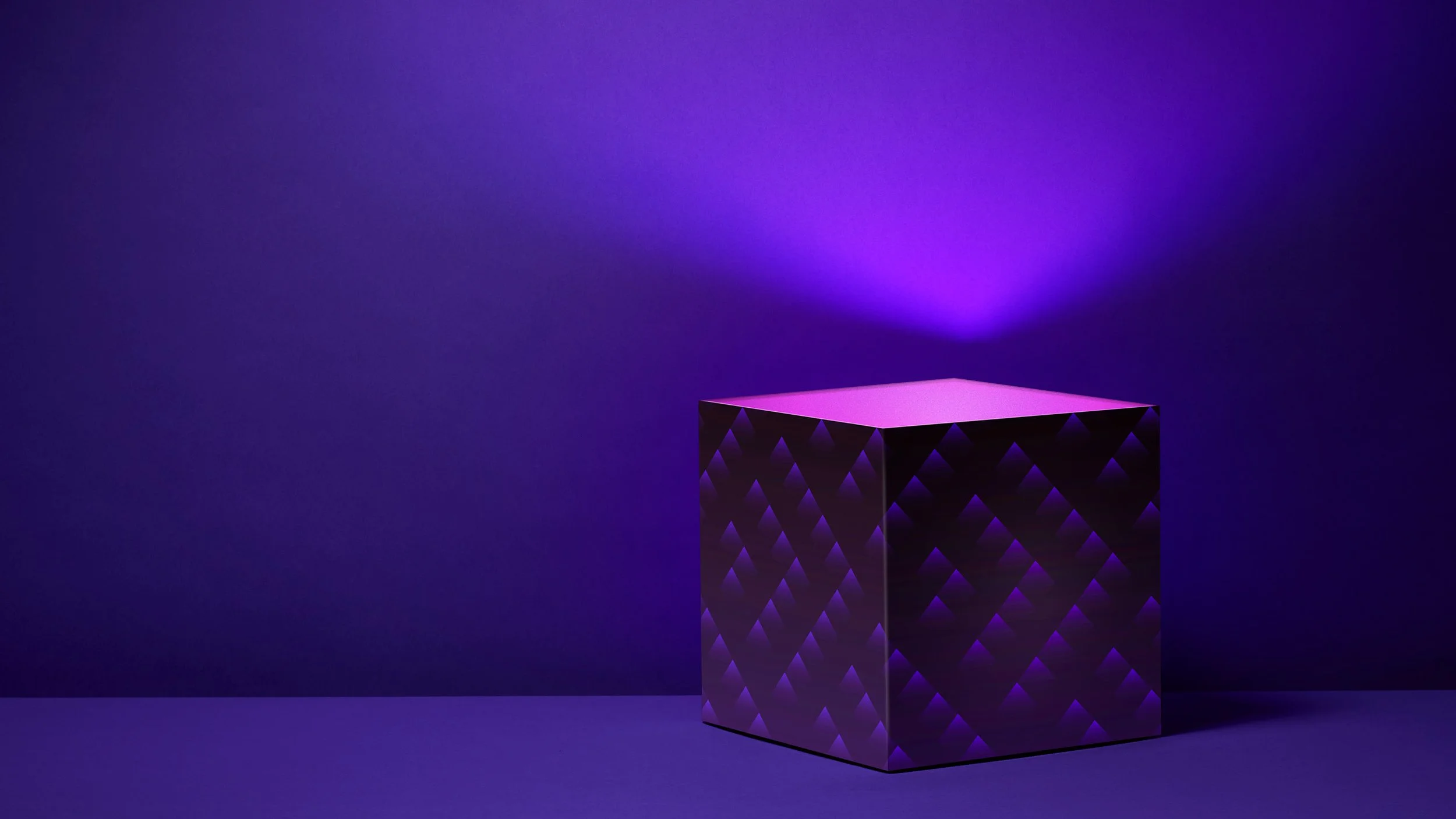 Air New Zealand Full Potential_12.jpg