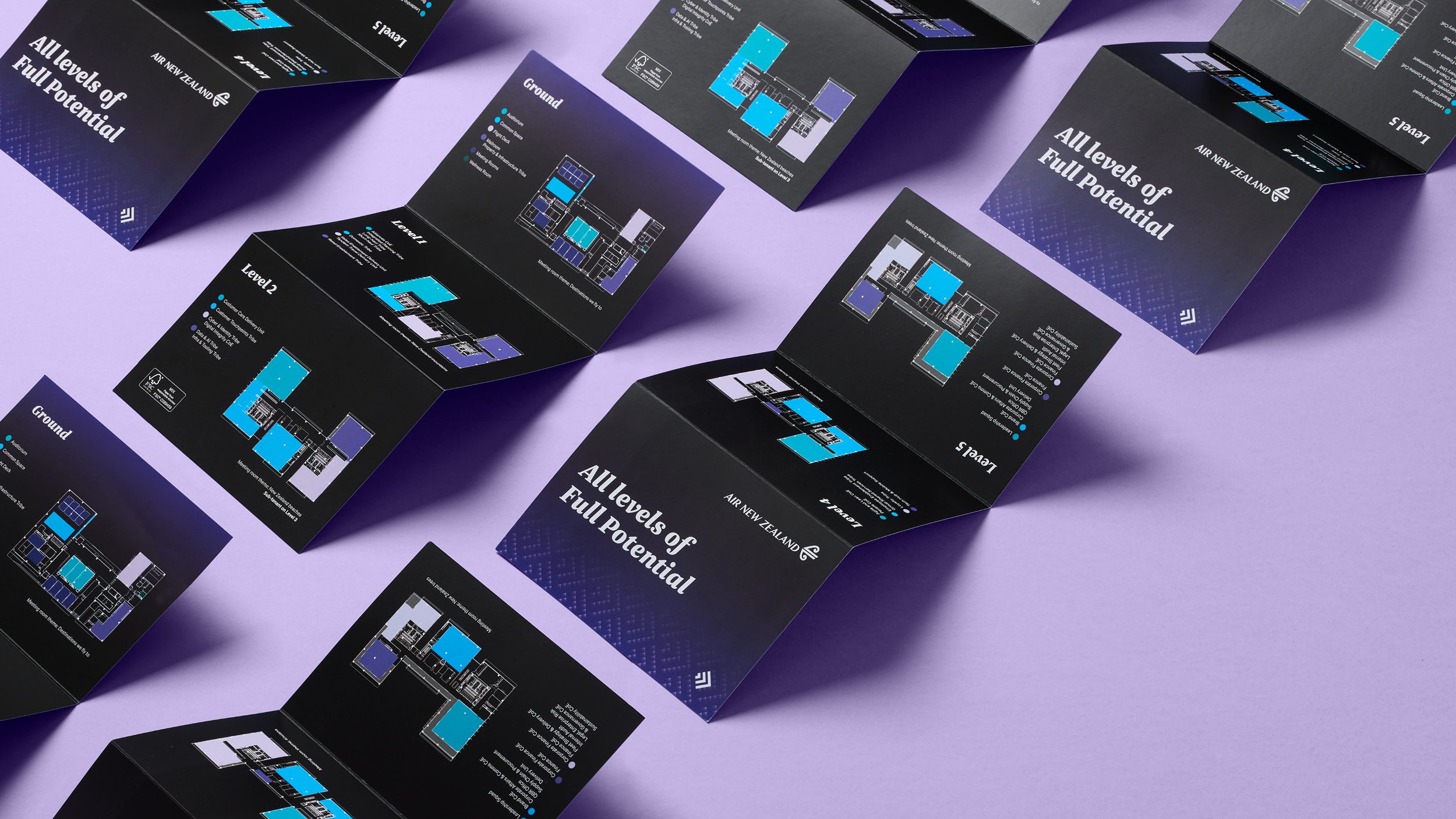 Air New Zealand Full Potential_11.jpg