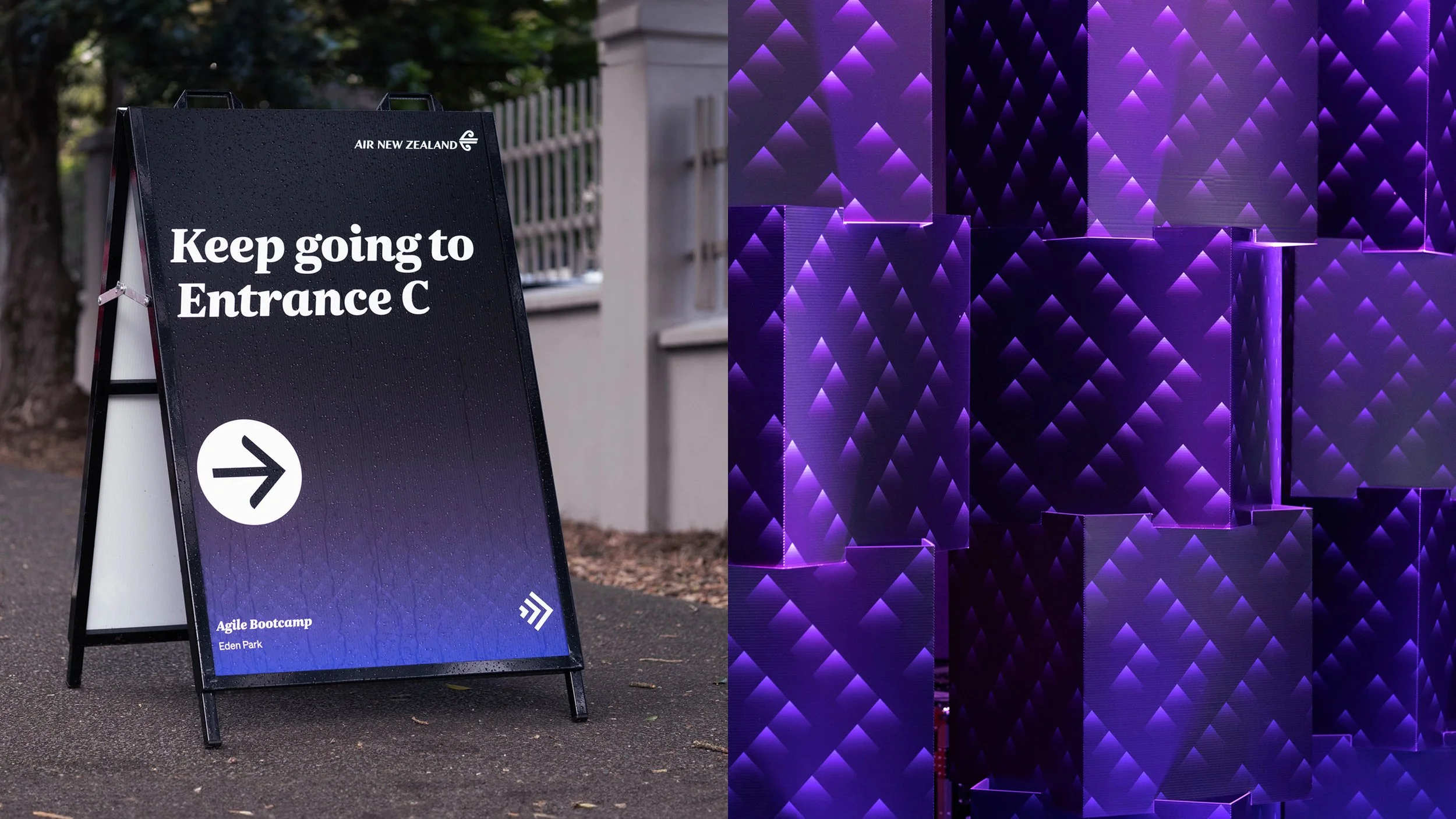 Air New Zealand Full Potential_13.jpg