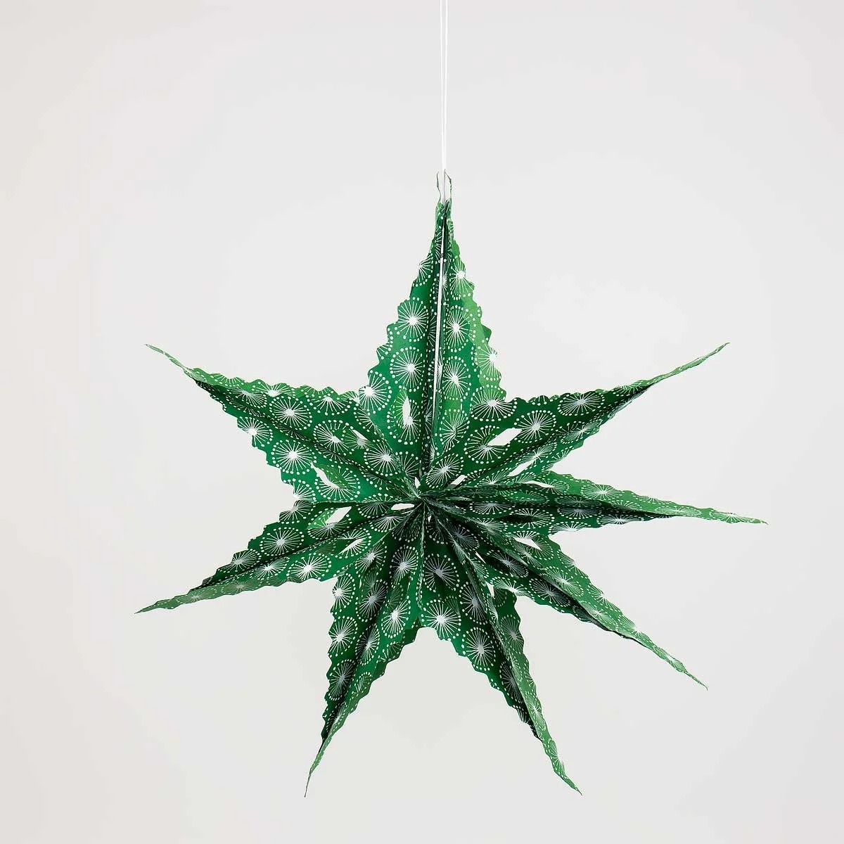 Sirius dandelion green.jpeg