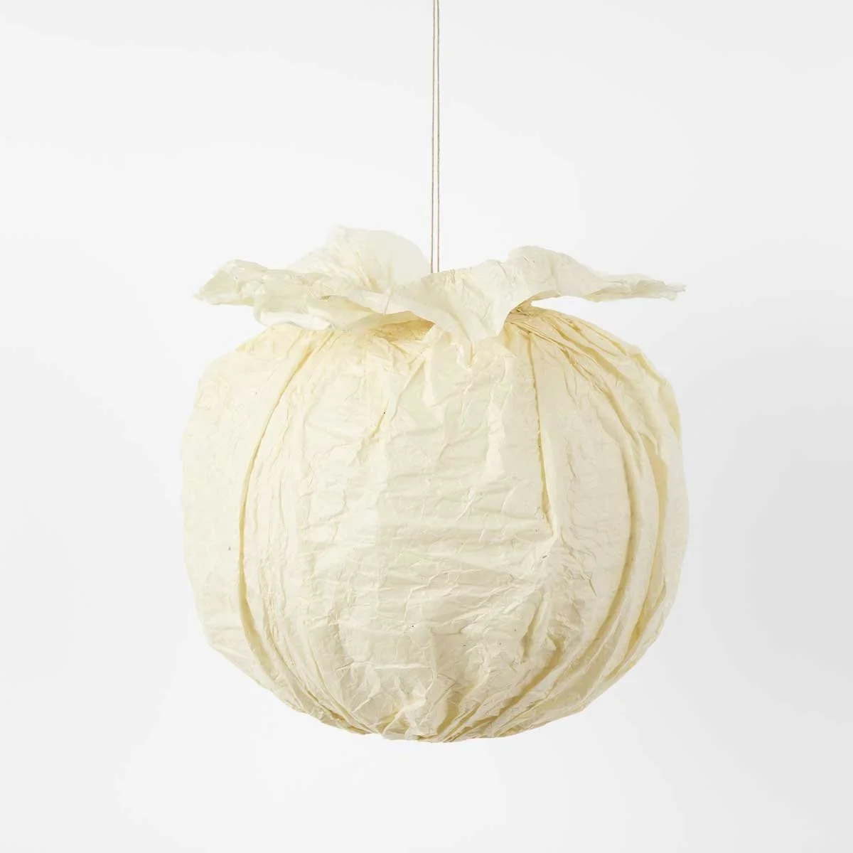 Pommegranate lampshade.jpeg
