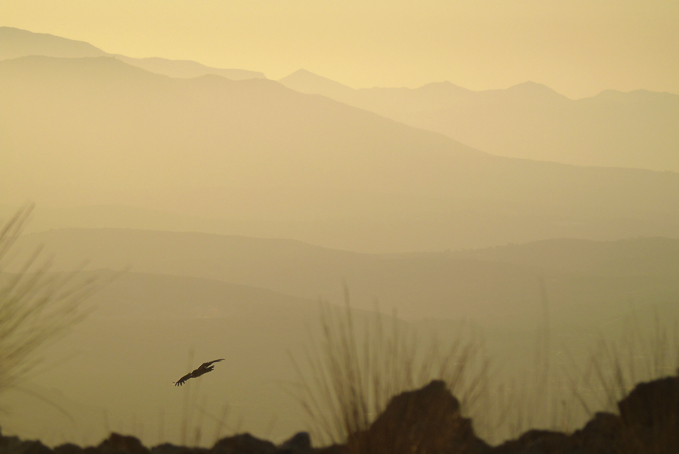 Screenshot 2023-02-28 at 17.41.53.png