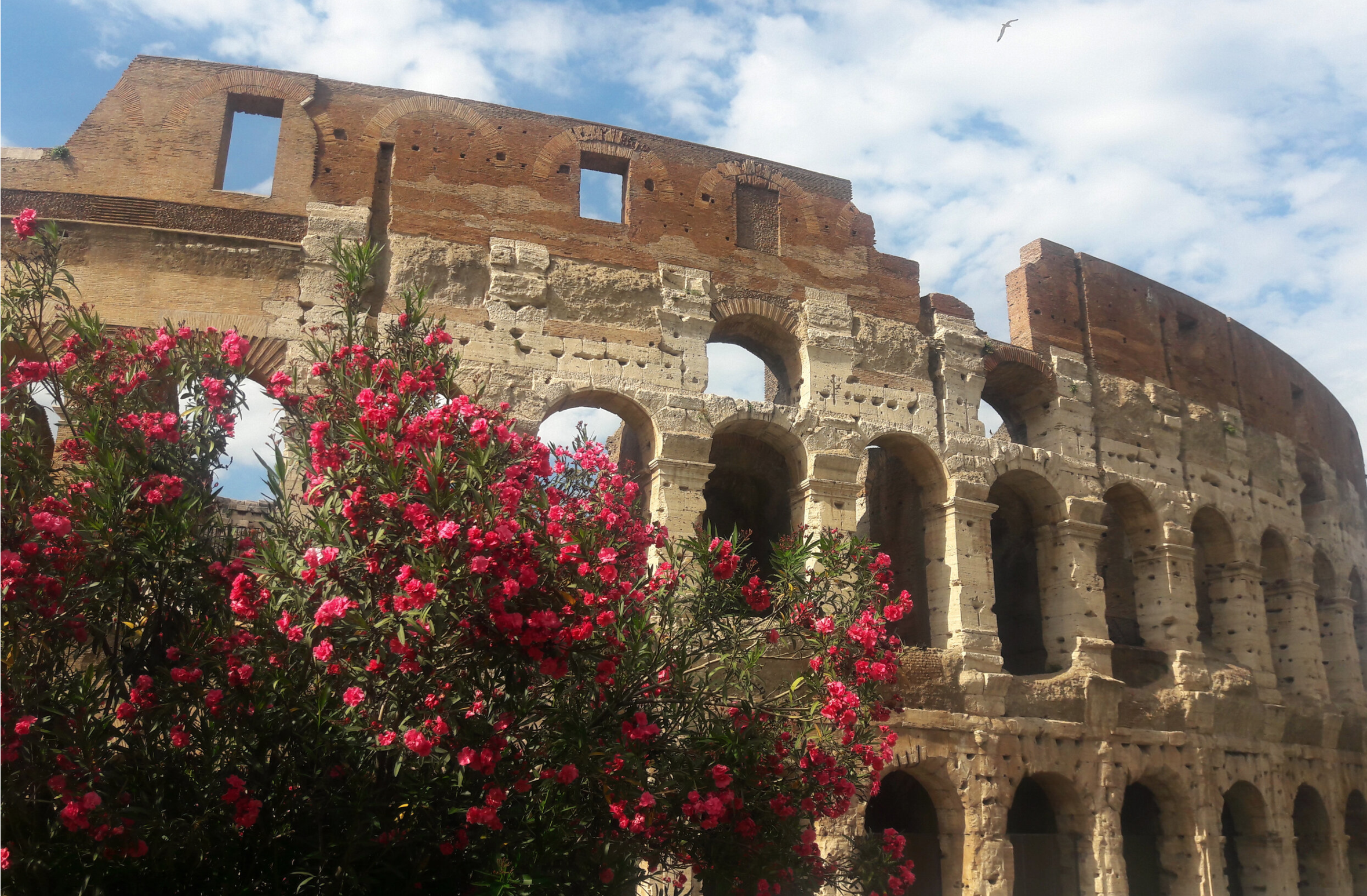 Screenshot 2023-03-14 at 21.05.04.png