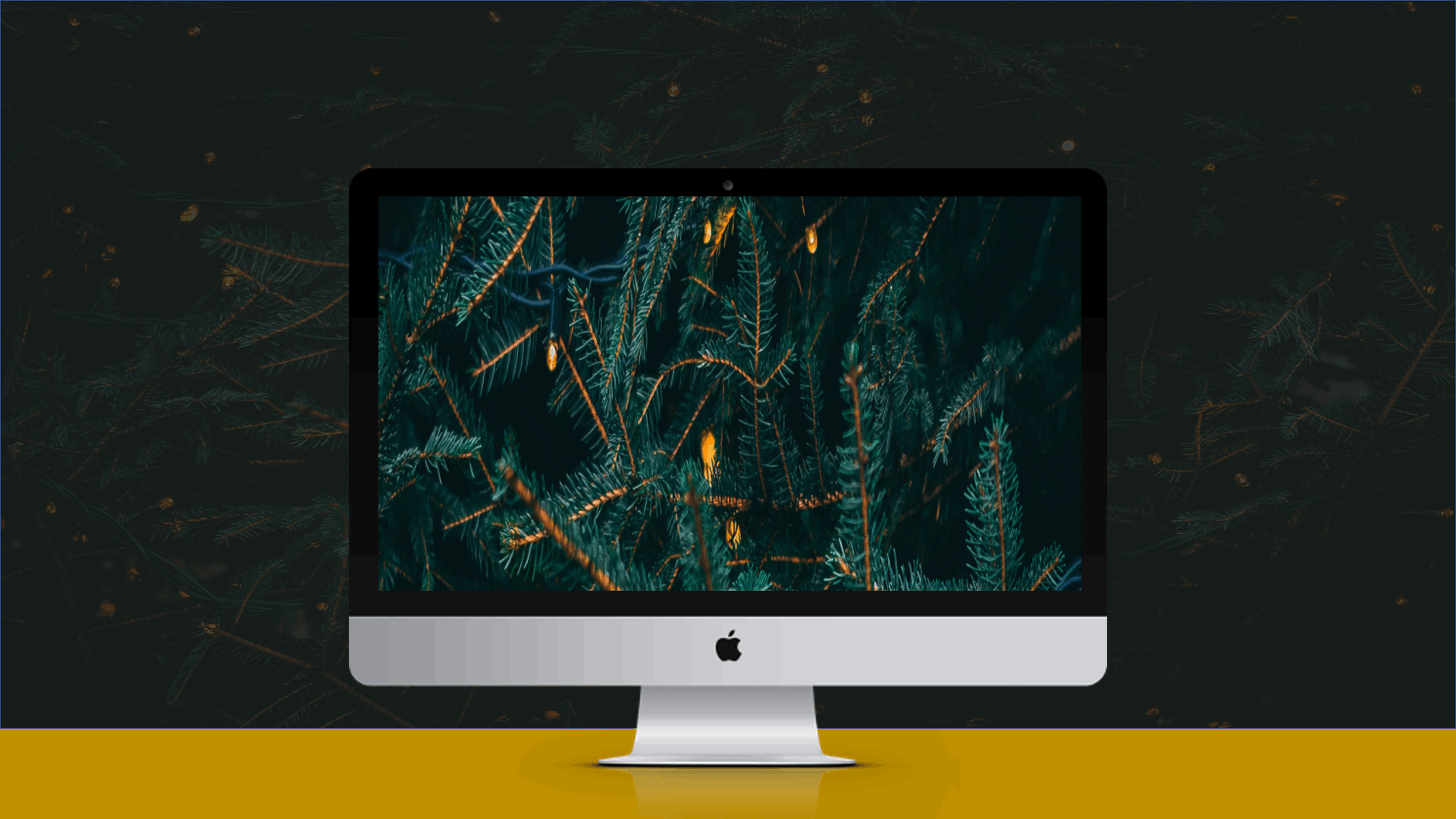   PowerPoints  (press play below) 